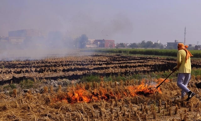 stubble burning in punjab