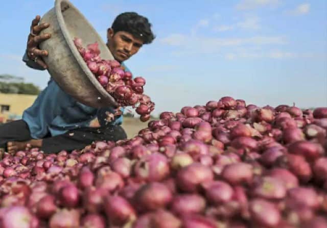 onion exports Maharashtra