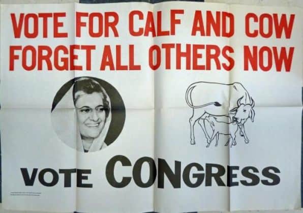 Vote For Calf And Cow