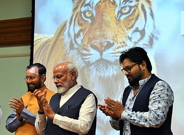 Indian Tiger Census 2018