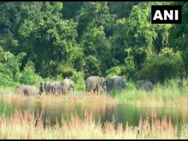 UP Govt To Make Bundelkhand Hub Of Wildlife Tourism | Lokmarg