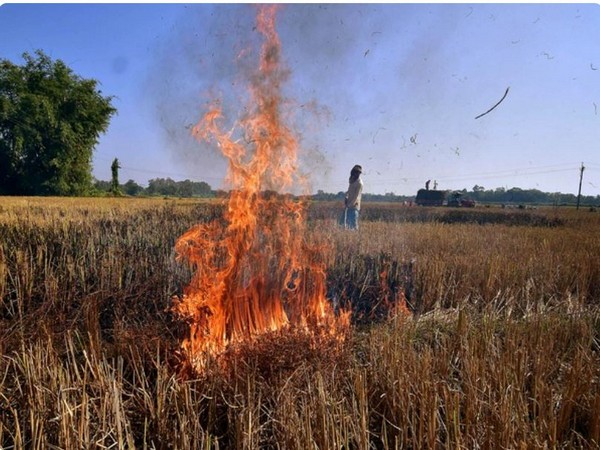 Stubble burning Punjab incident