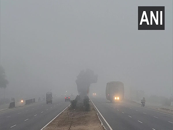 Fog Engulfs North India