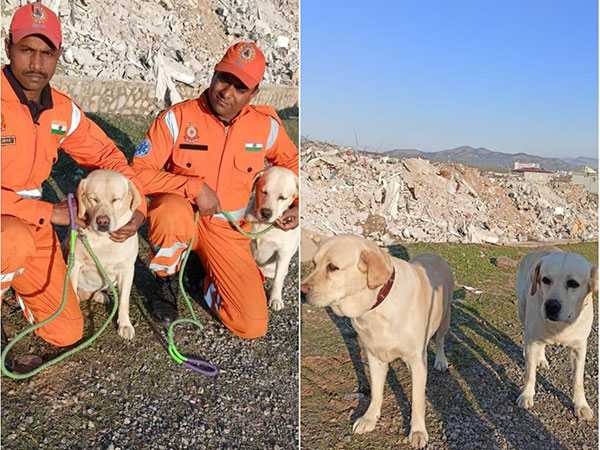 Meet NDRF's Romeo-Julie Who Saved 6-Year-Old In Turkey