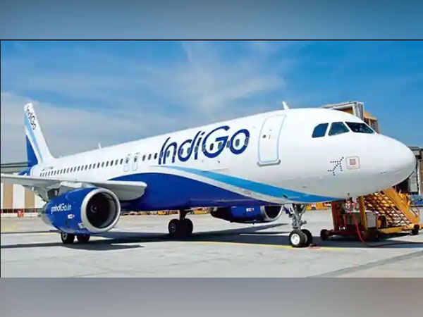 Mumbai-bound IndiGo flight