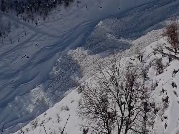 avalanche sikkim