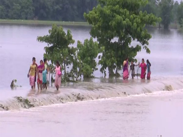 Assam Flood Situation