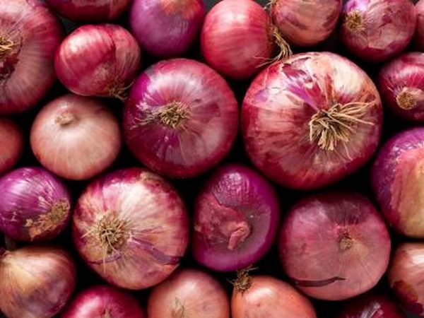 National Cooperative Consumers' Federation of India Limited (NCCF) Onion