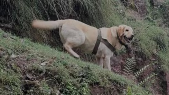 Army Dog Kashmir Encounter
