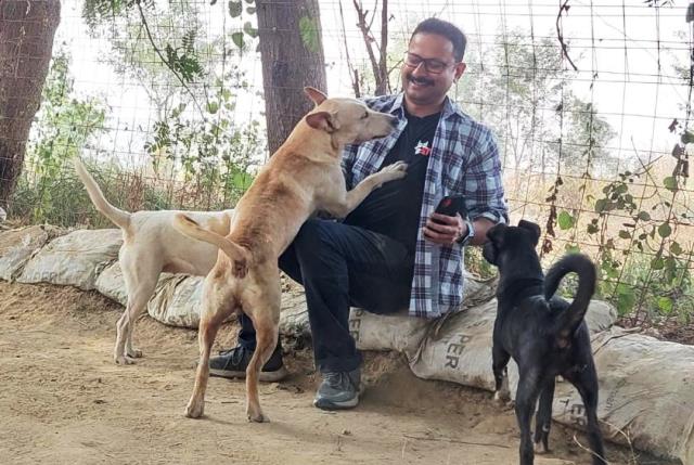 Viewing Stray Dogs As A Menace Is The Easy Part