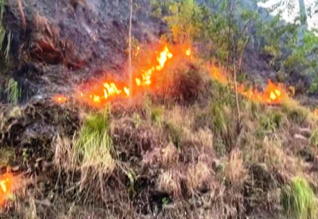 Forest Fire in Binsar