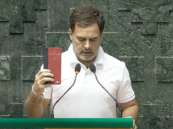 Rahul Gandhi Lok Sabha