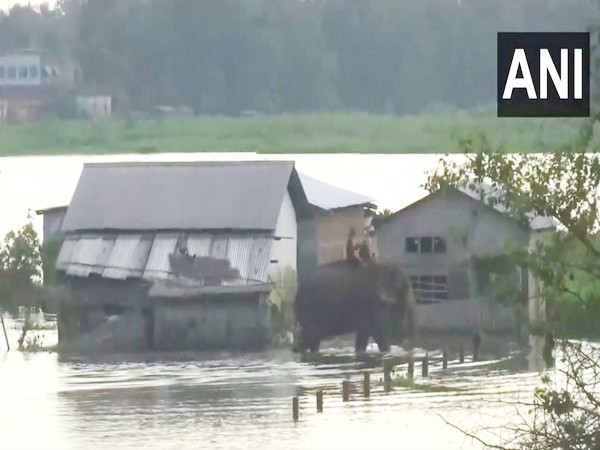 Assam Flood