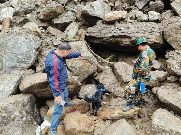 Dog Squads Rudraprayag