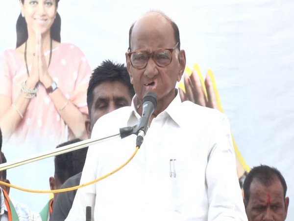 Rajya Sabha Sharad Pawar